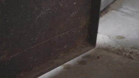 Rusty Old Warehouse Door Slamming Closed Stock Footage 219442669