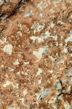 Rusty orange natural background texture, vertical shot Stock-Fotos