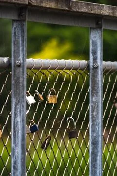 Rusty padlocks attached to the metal railing of a bridge, tradition of padl.. Foto stock