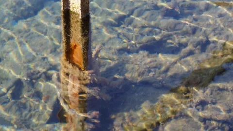 The rusty pier with mediterranean waves. Stock Footage 268902475