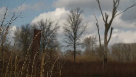 Rusty post and Trees Autumn Stock Footage 128228175