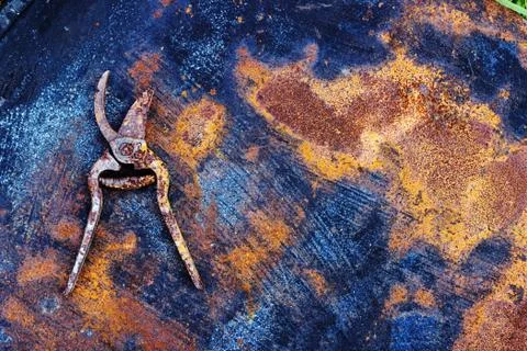 Rusty pruner on the rusty metal sheet Stock Photos