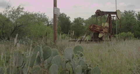 A rusty pump jack pumping oil in a remote place with cactuses Stock Footage 149348810