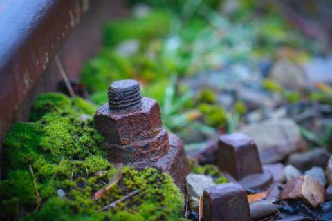 Rusty rail threshold screw Stock Photos