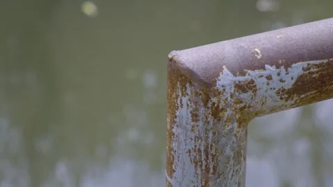 Rusty Railing Detail of Canal Side Walkway Stock Footage 338342822