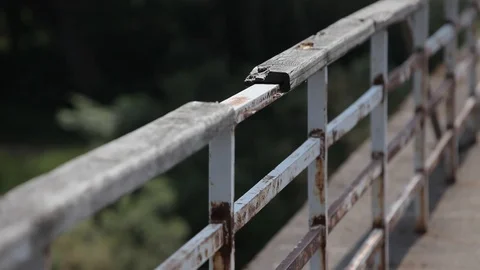 Rusty railing of the old bridge summer day Stock Footage 95042347