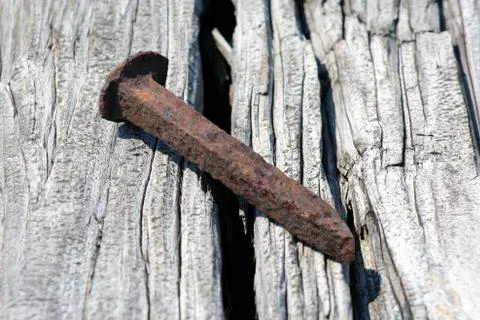 Rusty railroad spike Foto stock