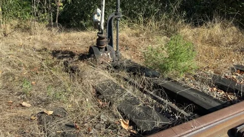 Rusty Railroad Switch and Old Manual Lever on Overgrown Track Stock Footage 346447435