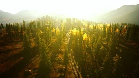Rusty railway winding through a dense pine forest at dusk Stock Illustration