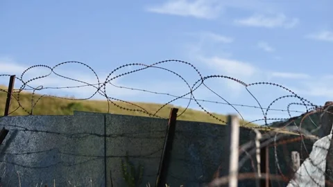 Rusty razor wire fence, close up. Sharp barbed tape. Stock Footage 314210427