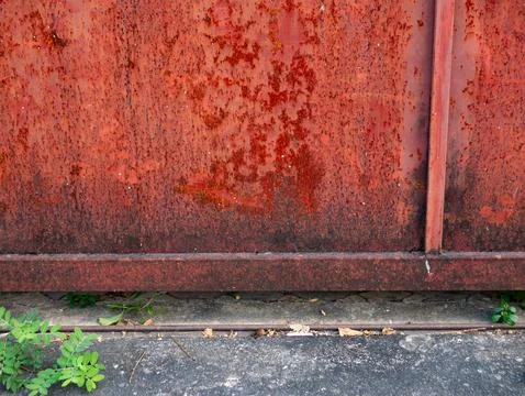 Rusty red metal gate partially covered with green climbing plants and heart.. Foto stock