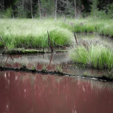 Rusty river Stock Photos