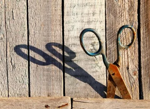 Rusty scissors on the wooden wall. shadow on the wall from scissors Stock Photos