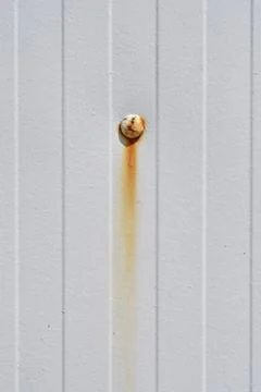 Rusty screw head with rust stain on a white metal panel background Stock Photos