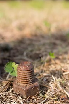 Rusty screw outdoors Stock Photos