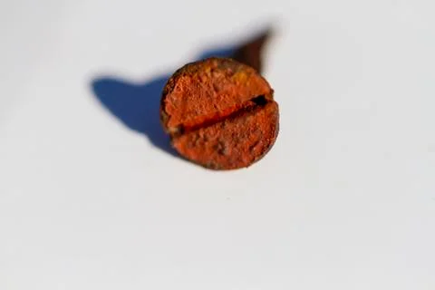 Rusty screw Foto stock