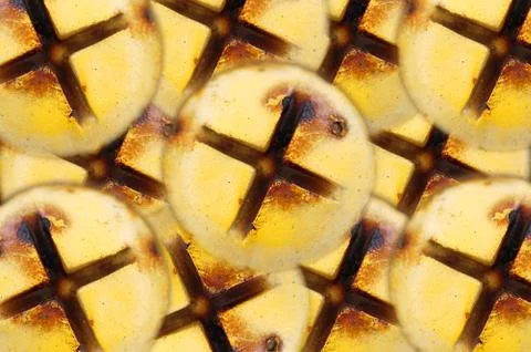 Rusty screws Stock-Fotos