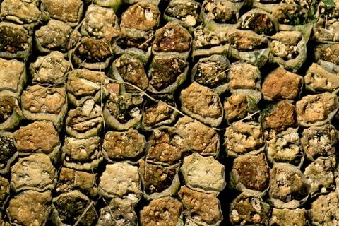 Rusty seed beds without plants Stock Photos