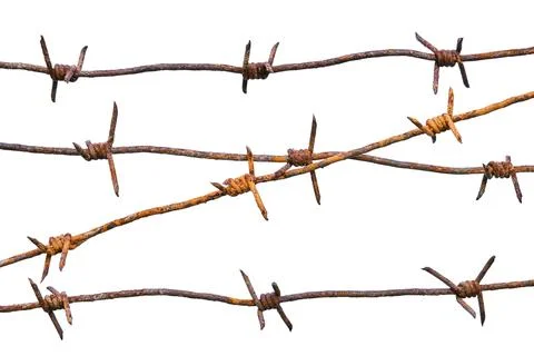 Rusty sharp barbed wires isolated on white background Stock Photos