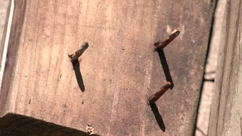Rusty sharp nails sticking out of boards 4K Stock Footage 196011508