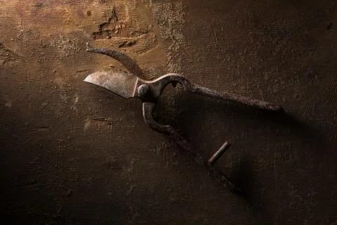 Rusty Shears Stock Photos