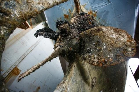 Rusty ship screw covered in shells during repair work Stock Photos