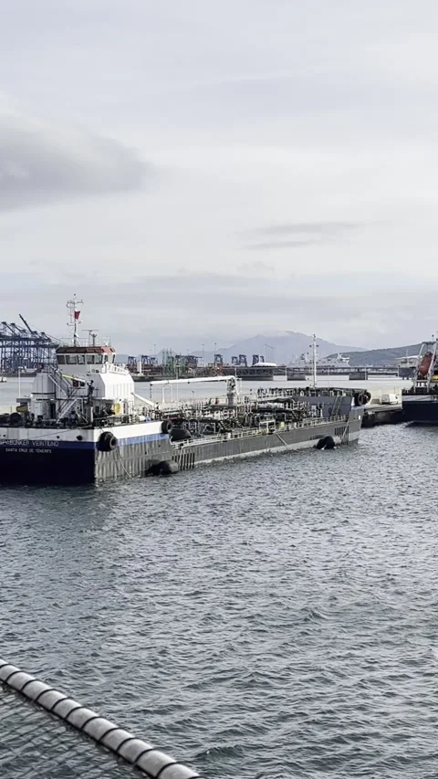 Rusty Ships and Cargo Cranes at Algeciras Port by the south of Spain Stock Footage 311453933