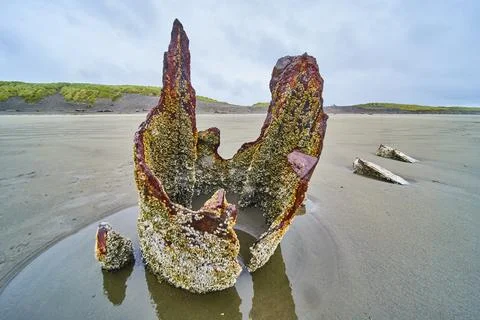 Rusty Shipwreck on Sandy Beach at Low Tide - Low Angle Perspective 스톡 사진
