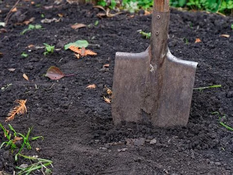 A rusty shovel in the ground Stock Photos