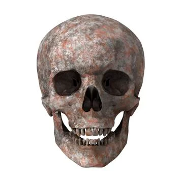 Rusty skull Stock Illustration