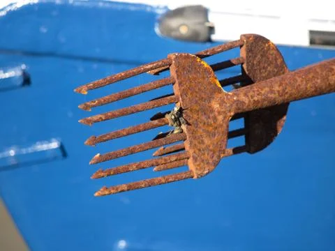 Rusty sperow Stock Photos