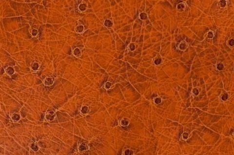 Rusty spotted leather sheet texture Stock Photos