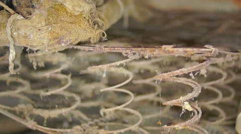 Rusty springs 库存影片 45588309