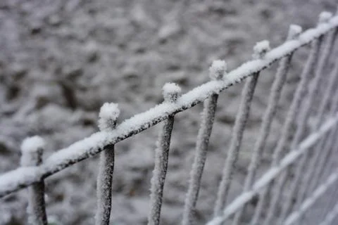 Rusty square-headed, square mesh, cage decorated with snow, hoarfrost. Stock Photos