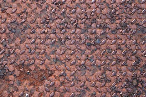 Rusty steel background Stock Photos