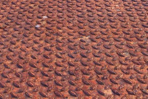 Rusty steel background Stock Photos