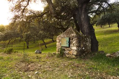 Rusty stone monolith surrounded by oak trees Stock Photos