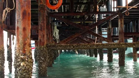 Rusty Structural Framework Beneath a Coastal Pier During Low Tide Stock Footage 342696081
