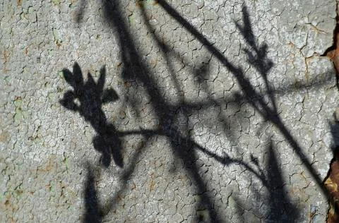The rusty surface of the once long painted metal garage door as background. Stock Photos