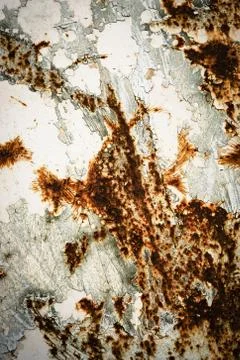 Rusty surface of paint Stock Photos