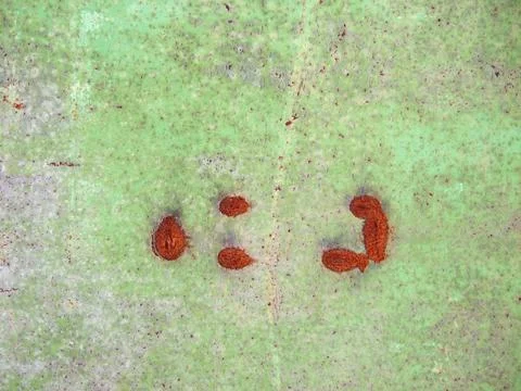 Rusty surface Stock Photos