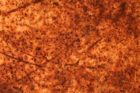 Rusty  texture Stock Photos