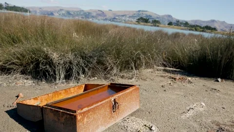 Rusty Tool Box, Avon River, Christchurch Stock Footage 145784733