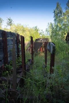 Rusty Train Car Frames in Overgrown Area Foto stock