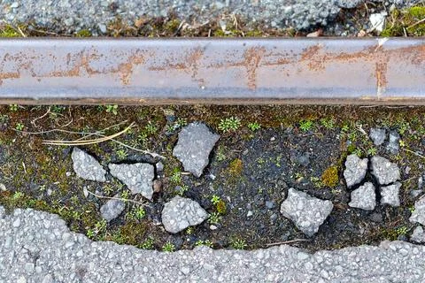 Rusty train rail and cracked asphalt with moss growing Stock Photos