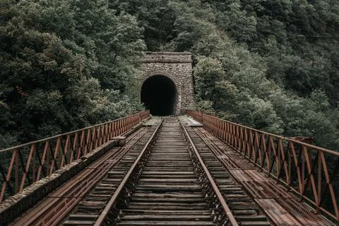 Rusty train tracks lead into a dark tunnel in a desaturated landscape Stock Photos