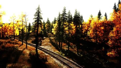 Rusty train tracks winding through a grove of evergreens at sundown Stock Illustration