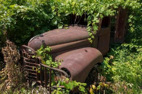 Rusty truck embedded in foliage Stock Photos