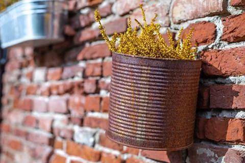 Rusty vase with flowers Stock Photos