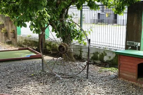 Rusty Wagon Wheel Beside Tree Kennel 스톡 사진
